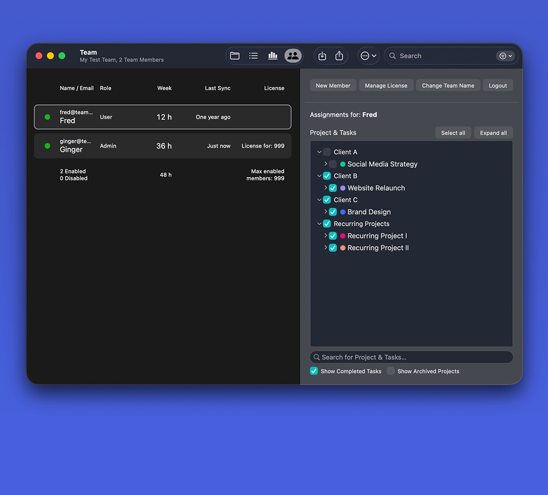 Screen with management functions for your team and your team projects